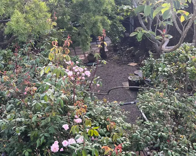 The Garden Conservancy Preservation Partner Garden